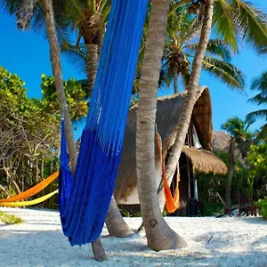 playa-selva.quintano-roohotels.com/